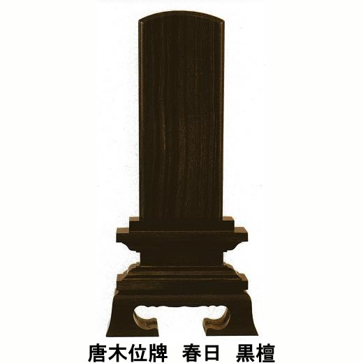 苔オブジェ